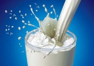 Мировое производство молока в текущем году вырастет на 2,1%