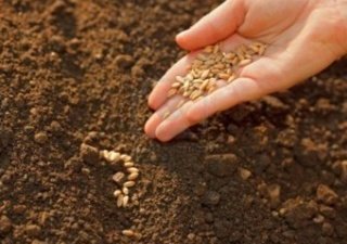 Законопроекты , необходимые для выхода отечественной продукции на рынок ЕС , будут приняты в ближайшее время