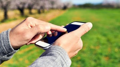 Каждому фермеру –  персонального продавца, юриста и переводчика на японский язык