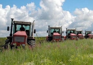 В Курганской области подвели итоги развития АПК