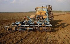В Зауралье стартовала уборка озимых культур