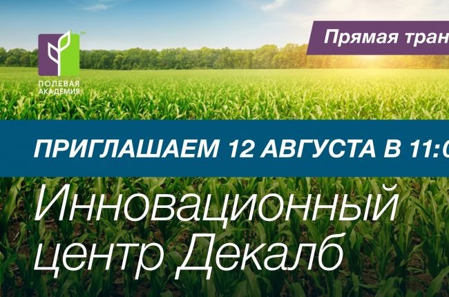 БайАрена представляет: Инновационный центр DEKALB