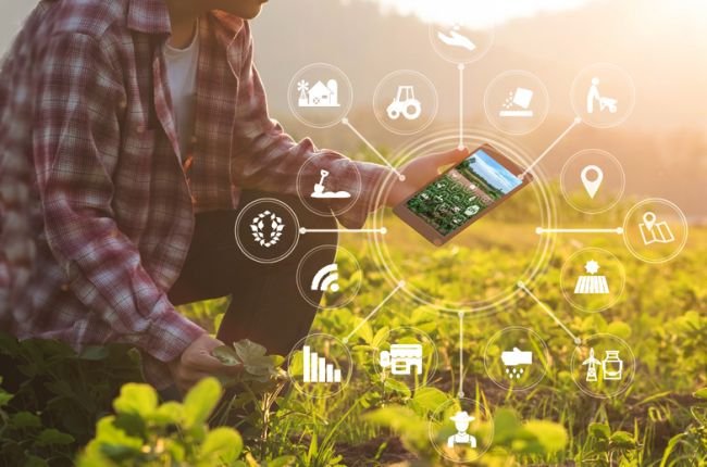 Россельхозбанк представил цифровые агротехнологии на VIII Дне поля Юга России
