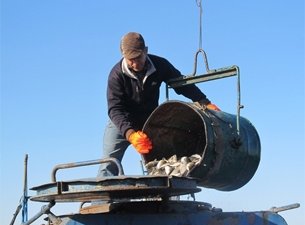 Новосибирская область начала зарыбление водных объектов