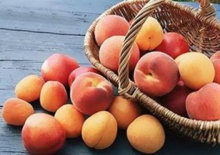 Необходимо разработать комплекс дополнительных мер по государственной поддержке развития отечественного садоводства