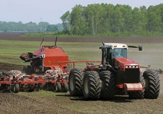 В России засеяли озимыми лишь половину запланированных площадей