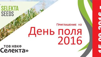 День поля по кукурузе и подсолнечнику.