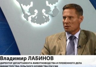 Минсельхоз оценил потенциал молочного скотоводства Сахалина