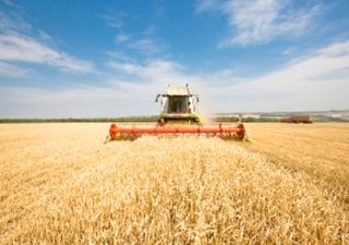 В Ростовской области собрали первый миллион тонн зерна