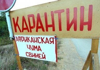 В Тюменской области были проведены учения по борьбе с АЧС