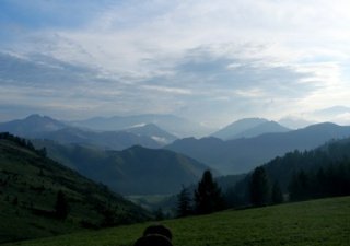 Алтайский край нуждается в страховании