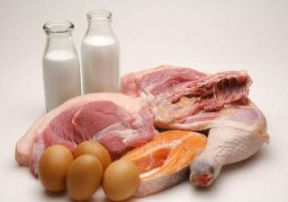 Власти Ленобласти предлагают ввести налоговые льготы для импортозамещающих производств