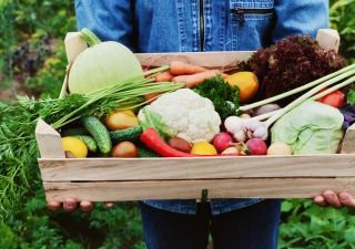 Число производителей органической продукции в РФ за 7 месяцев выросло на 10 компаний
