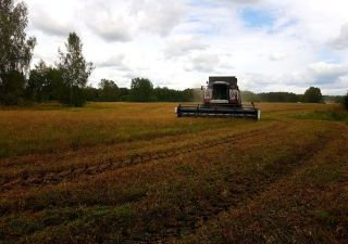 Органическому сельскому хозяйству обеспечен десятикратный рост в ближайшие 5 лет