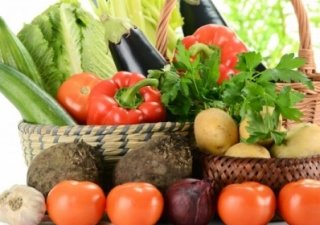 Россия и Китай займутся совместным производством экологически чистой продукции