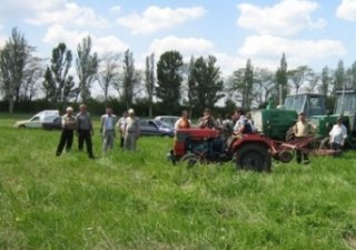 26 июля в Костромской области пройдет сельскохозяйственная выставка «День поля - 2013»