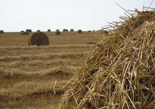 Росагролизинг в Крыму: комплексная поддержка села