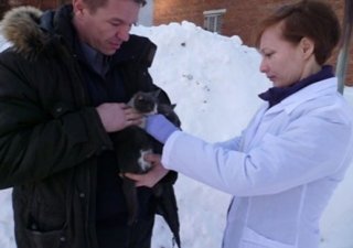 Зафиксированы новые вспышки бешенства среди животных в Пермском крае