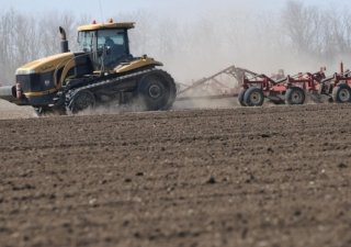 Комитет СФ предложил доработать госпрограмму развития сельского хозяйства