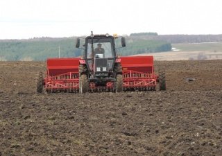 Минсельхоз сообщил о севе яровых