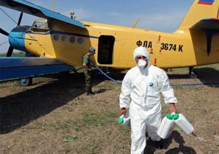 Астраханские аграрии ведут борьбу с саранчой