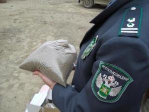 Инспекторы Управления Россельхознадзора по Новосибирской области предотвратили ввоз зараженных специй из Узбекистана.
