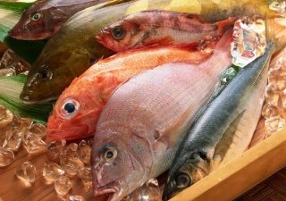 Ситуация с экспортом украинской продукции в Россию не отразится негативно на рыбном рынке России