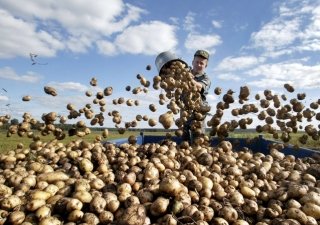 В Красноярском крае вводят карантин