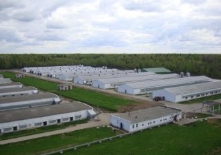 Агропромышленный парк построят в Волжском районе Самарской области