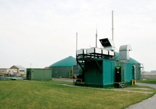 Ростки биоэнергетики появились в Чувашии