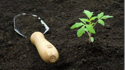 Плодородие почв нужно проверить