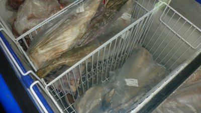 О нарушении ветеринарного законодательства и Технического регламента