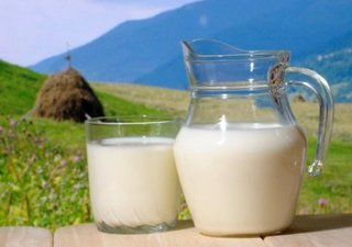 Coca-Cola займется выпуском безлактозного молока