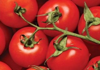 Россию заполняют нелегальные продукты