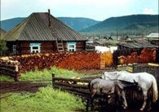 Под пятой ВТО: как развивать село?
