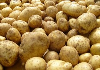 Россия в ближайшее время может снять ограничения на ввоз картофеля из Финляндии и Польши