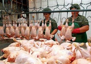 В первом полугодии производство мяса в России выросло