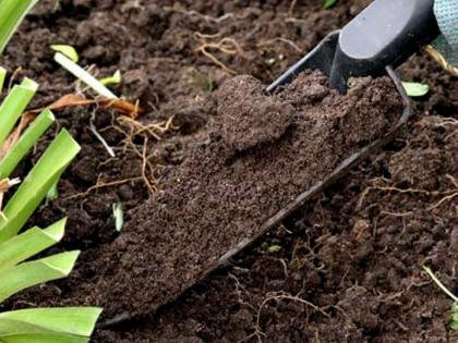 Анализ почвы - важный этап по сохранению её плодородия