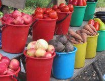 На трассе Москва-Крым в Курской области торгуют непроверенными продуктами