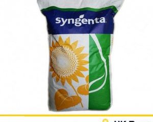 Гибриды семян подсолнечника гибрид НК Роки (Сингента) Syngenta