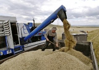 Китай хочет выкупить зерновые компании Казахстана