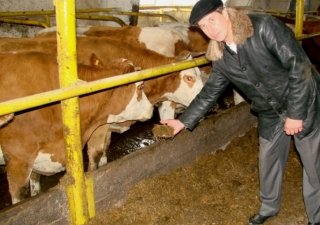 В 2013 году на поддержку фермеров в Мордовии направлено почти 45 млн рублей