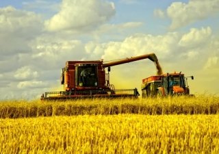 Уборка зерновых в Орловской области – начало положено