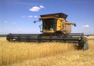 Пензенская область лидирует среди соседей по урожайности зерновых