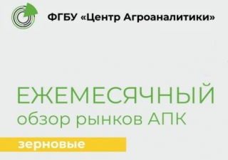Ежемесячный обзор рынка зерновых за февраль 2021 года