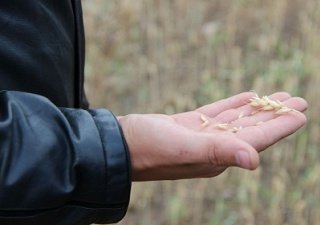 324 миллиона рублей – компенсация, предназначенная Бурятии, пострадавшей от засухи