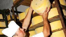 «Советский маслосырзавод» выставили на продажу за 74,5 млн рублей