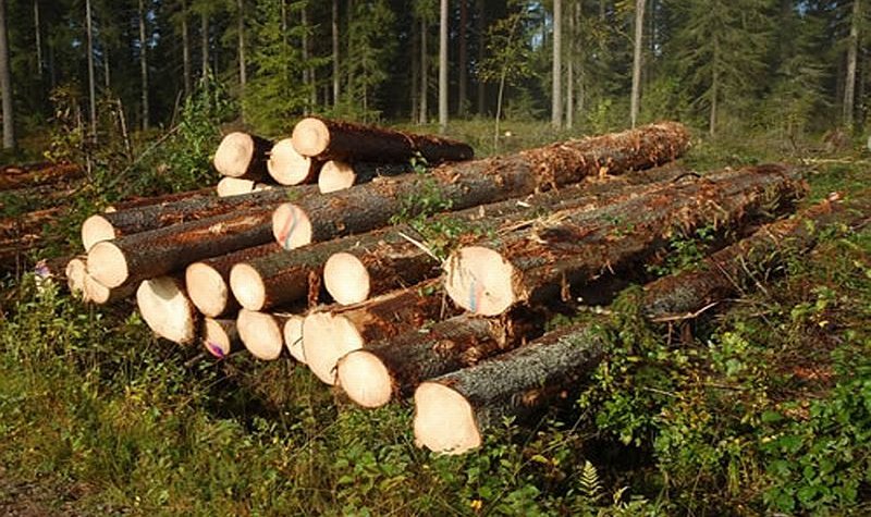 О совещании временной рабочей группы экспертов ЕОКЗР по разработке стандарта по древесной продукции (7-10 октября 2014 г., Париж)