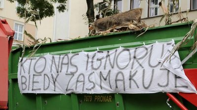 Польские фермеры требую компенсировать потери от стихии и АЧС
