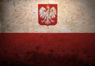Польша оценила потери от российского эмбарго в 800 млн евро